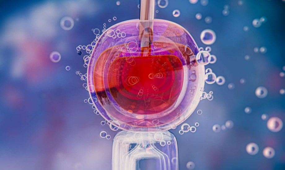 أسباب احتباس المشيمة بعد الولادة