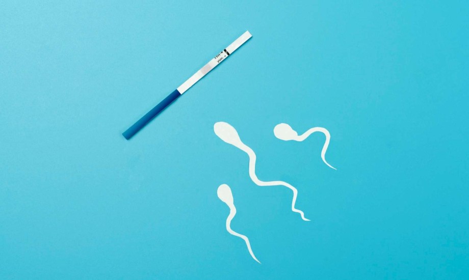 أدوية GLP-1 تحسن عدد الحيوانات المنوية