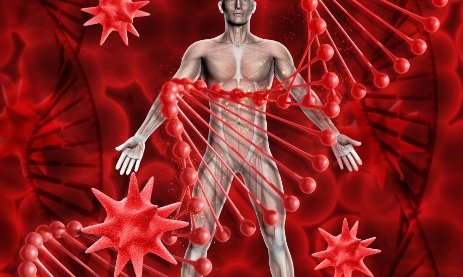 أطعمة لتنشيط الدورة الدموية