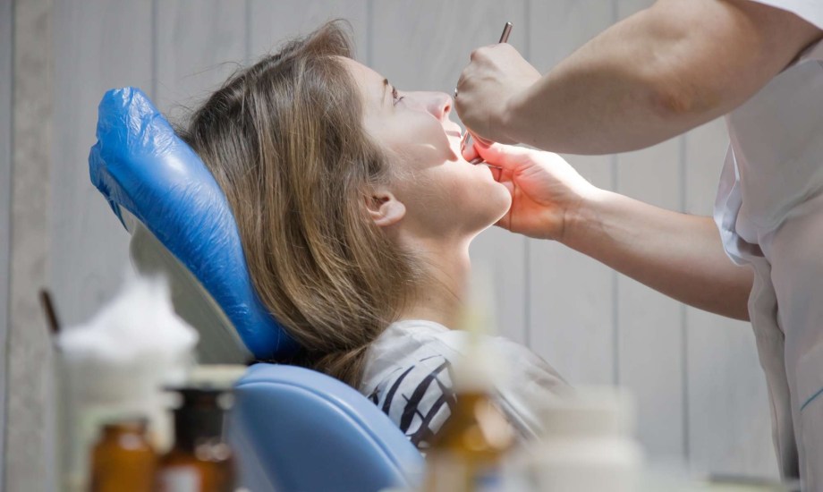 الخلايا الجذعية في ضرس العقل