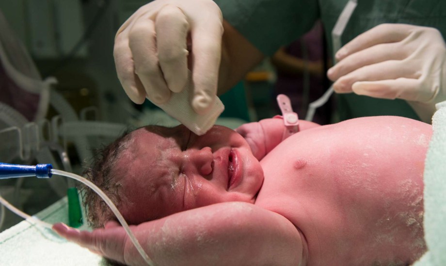 فوائد الطلاء الدهني للجنين