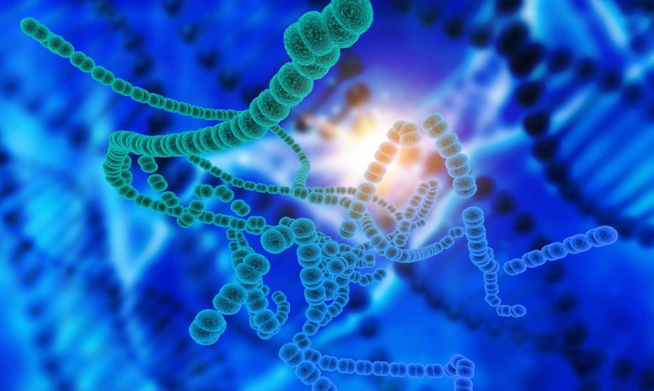 ميكروب في أمعاء الإنسان