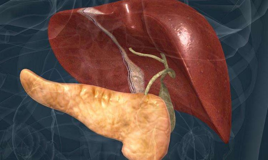 أمراض الكبد