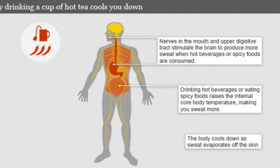 المشروبات الساخنة تعمل على تبريد الجسم
