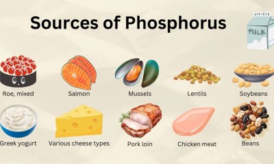 أطعمة غنية بالفوسفور