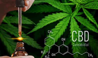 الكانابيديول CBD