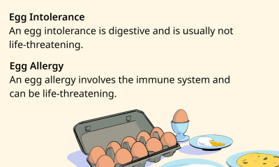 الفرق بين عدم تحمل البيض وحساسية البيض