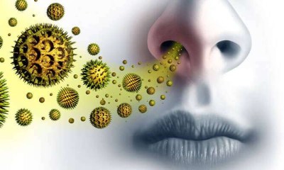 الحساسية الموسمية