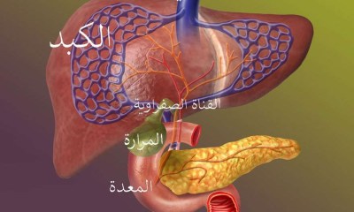 تراكم الصفراء نتيجة انسداد القنوات الصفراوية يسبب مشاكل في الكبد