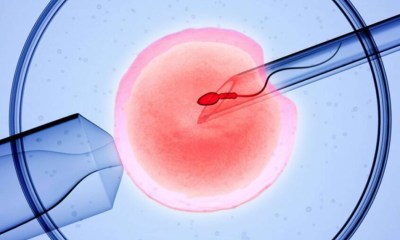 مراكز للحقن المجهري وأطفال الأنابيب بمصر