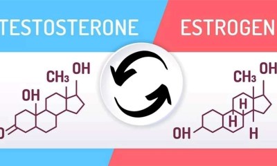 تحول التستوستيرون إلى الإستراديول