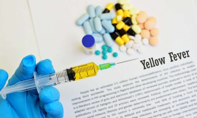 علاج الحمى الصفراء