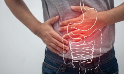 عشبة الترنجان تساعد في تهدئة الجهاز الهضمي