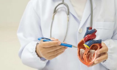 كيف تحافظ على صحة القلب والعظام؟