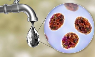 كيفية معرفة صلاحية مياه الشرب في منطقتك