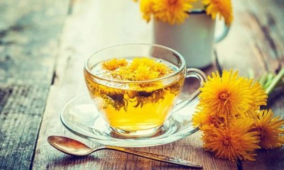 هل شاي الهندباء يساعد على فقدان الوزن؟