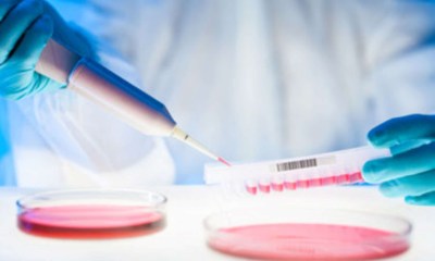 دواء جديد ينقذ مرضى جلد الفراشة من الجروح المزمنة
