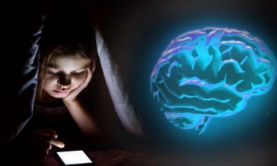 التعرض للشاشات يؤدي إلى إتلاف أدمغة الأطفال
