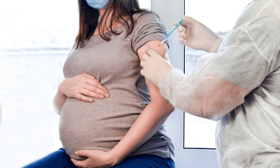 تطعيم الحوامل توفر الأجسام المضادة وحيدة النسيلة