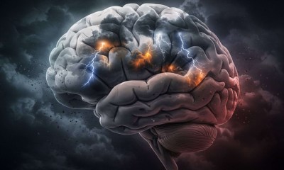 تلوث الهواء يزيد من احتمالية الإصابة بالصرع