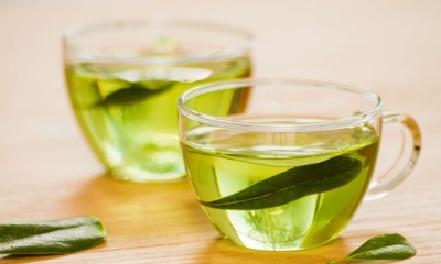 فوائد الشاي الأخضر