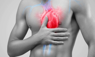 علاقة حجم العضلات بالموت المفاجئ