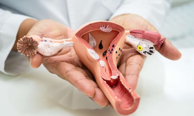 التهابات المهبل تسبب الحكة المهبلية أثناء الحمل