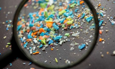 احذر تسخين أو تجميد الطعام في البلاستيك