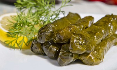 لماذا يجب أن يكون ورق العنب في نظامك الغذائي؟