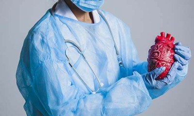 اختبار الدواء أثناء التخزين البارد للقلوب