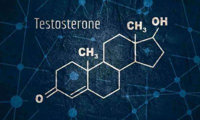 المعدل الطبيعي لهرمون الذكورة عند الرجال