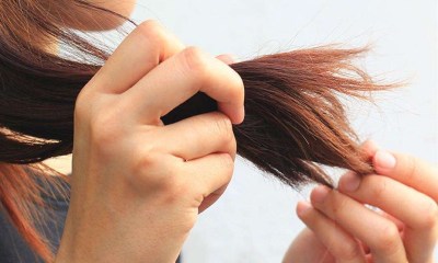 4 علامات تدل على جفاف الشعر