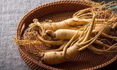 6 فوائد مذهلة لمكملات الجينسنج الماليزي