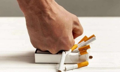 هل ينقذ السنوس المدخنين؟