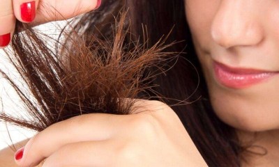 كيف تتجنب تقصف الشعر؟