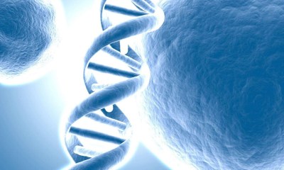 لحماية الأمن البيولوجي.. إجراءات أمريكية عاجلة لحماية البيانات الوراثية