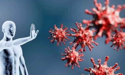 معلومات عن مرض نقص المناعة الأولي