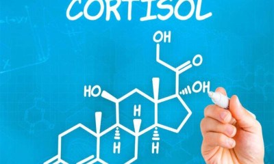4 مكملات غذائية تقلل الكورتيزول