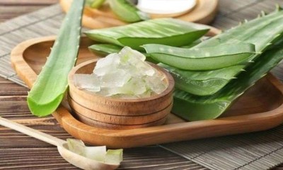 3 وصفات سحرية من الصبار لعلاج حب الشباب في المنزل
