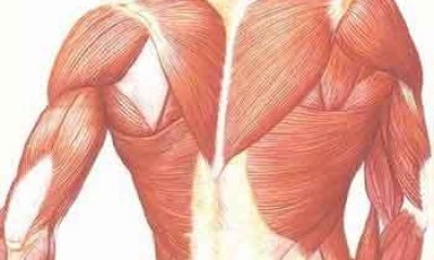 لماذا رفضت الـFDA دواء 