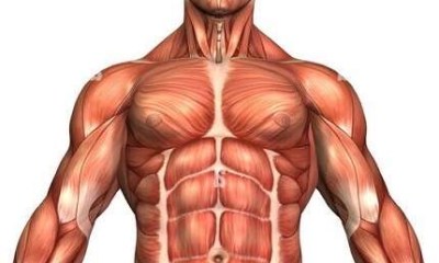 هوس الرجال بالجسم المثالي: 437% ارتفاعا في عمليات زراعة العضلات