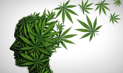 هل الماريجوانا تعزز الإبداع؟