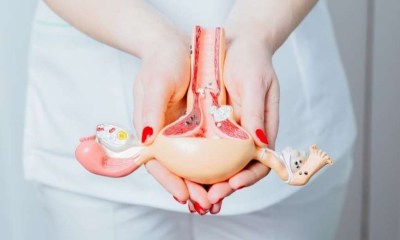 ما الفرق بين الرحم المقلوب والمتضخم؟ 