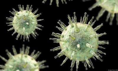 دواء جديد لعلاج مضاعفات فيروس إبشتاين&ndash;بار بعد زراعة الأعضاء