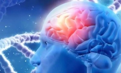 ارتفاع دهون الدم وسكرها يسرع تدهور الزهايمر 4 أضعاف