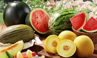 البطيخ والشمام لصحة البشرة