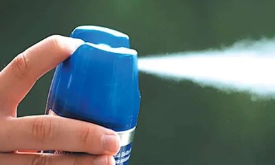 مبيد حشري شائع يغير بنية دماغ الجنين ويضعف مهارات الأطفال الحركية