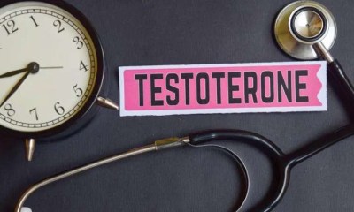 كل ما تريد معرفته عن التستوستيرون وتأثيره على حياتك