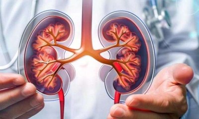 أمل لمرضى الكلى.. تحاليل جديدة تمهد لعلاجات أكثر تخصيصا