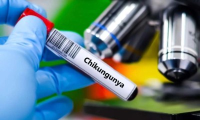 إدارة الدواء الأمريكية توقف لقاح شيكونغونيا بعد آثار جانبية نادرة